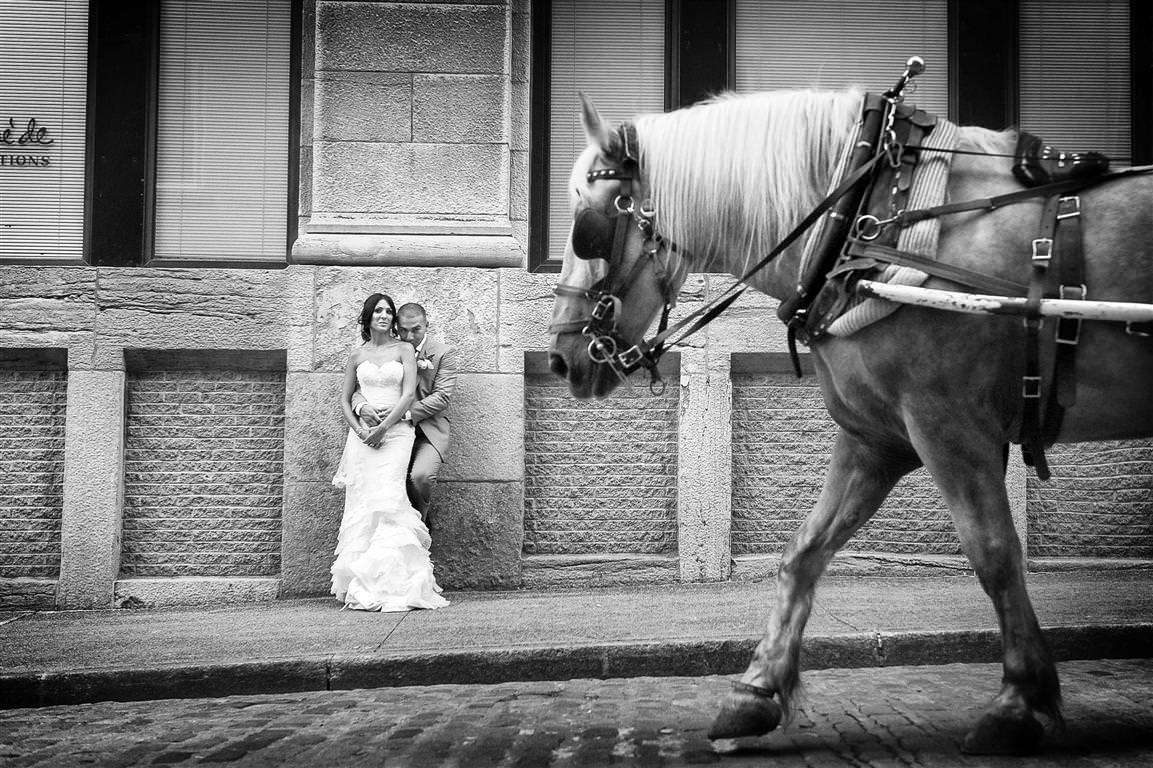 astonishing wedding couple together artistic humor shot with horse black white photo by lavimage montreal