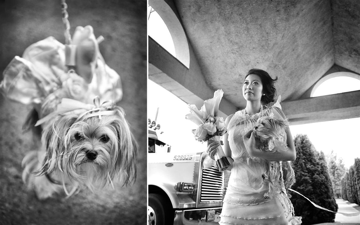 heavenly wedding bride with bouquet and dog by lavimage montreal