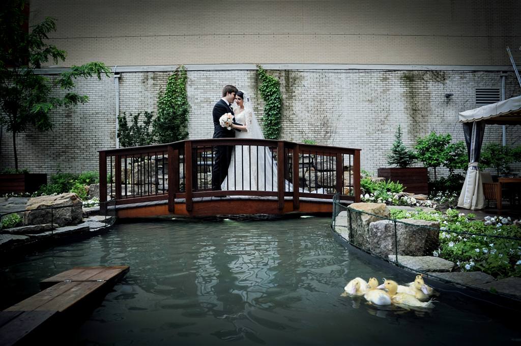 colored wedding photos couple together garden bridge nature birds by lavimage montreal Ritz Carlton wedding