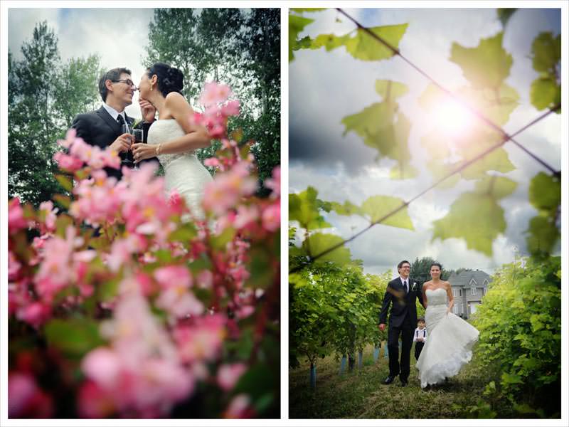 Romantic photo of bride and groom together  at the vineyard wedding photographed by La V image-Montreal wedding photographer 